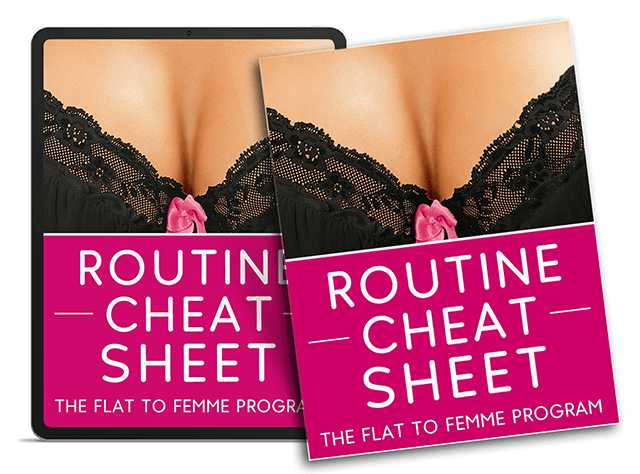 Bonus - Routine Cheat Sheet